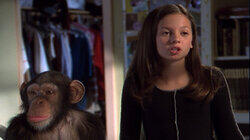 Monkey Business Monkey Business