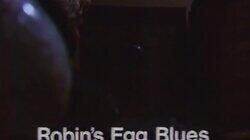 Robin's Egg Blues Robin's Egg Blues