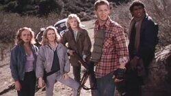 The Wildcats The Wildcats