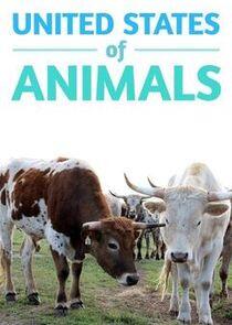 United States of Animals United States of Animals