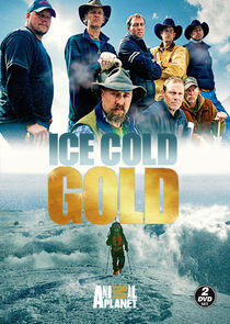 Ice Cold Gold Ice Cold Gold