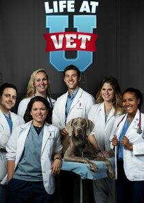 Life at Vet U Life at Vet U