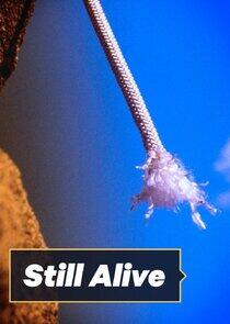 Still Alive Still Alive