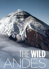 The Wild Andes The Wild Andes