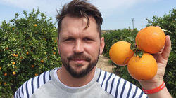 Orange Squash, Maple Syrup, Biscuits Orange Squash, Maple Syrup, Biscuits