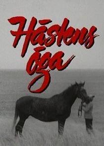 Hästens öga Hästens öga