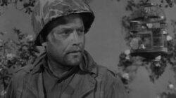 The Battle of the Roses