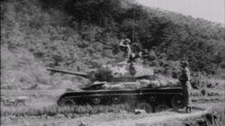 Lost Sheep, Lost Shepherd