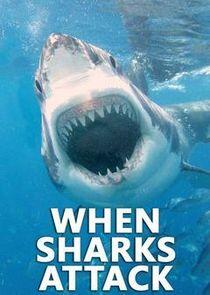 When Sharks Attack When Sharks Attack