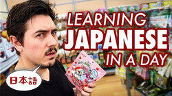 How Much Japanese Can You Learn in a Day?