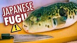 Eating Japan's Deadliest Dish | Poisonous Blowfish (Fugu)