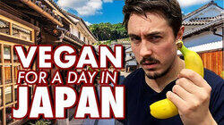 I Tried Being Vegan in Japan for a Day I Tried Being Vegan in Japan for a Day