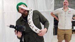 Lights! Cameras! Reptiles! Lights! Cameras! Reptiles!