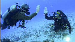 Finding the Lost Pilots of WW2 Finding the Lost Pilots of WW2