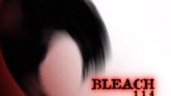 Reunion, Ichigo and Rukia Reunion, Ichigo and Rukia