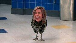 Epic Chicken Epic Chicken