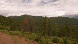 Epic Log Homes