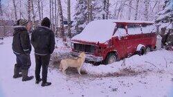 How To Build a Dog Sled Van How To Build a Dog Sled Van