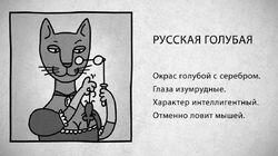 01 Русская голубая кошка 01 Русская голубая кошка