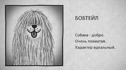 07 Бобтейл 07 Бобтейл