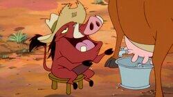 Jungle Slickers Jungle Slickers