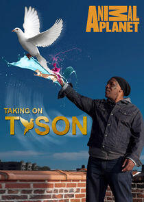 Taking on Tyson Taking on Tyson