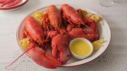 Maine Lobster Dinner Maine Lobster Dinner