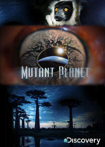 Mutant Planet Mutant Planet
