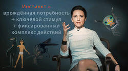 89. Как так у человека нет инстинктов? 89. Как так у человека нет инстинктов?