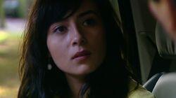 Aflevering 221 Aflevering 221
