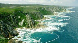 Wild South Coast