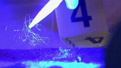 Trace Evidence Trace Evidence