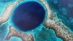 Mesoamerican Reef Mesoamerican Reef