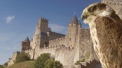 Carcassone: The Realm of the Owl Carcassone: The Realm of the Owl