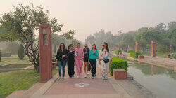 The Delhi Cats