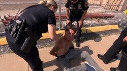 Tased and Confused Tased and Confused