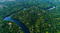 The Amazon The Amazon
