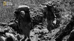 Mountain Massacre Mountain Massacre