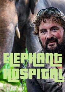 Elephant Hospital Elephant Hospital