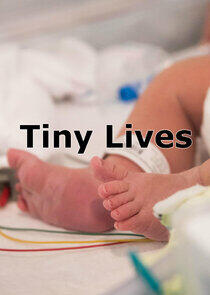 Tiny Lives Tiny Lives