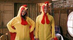 Chicken Translator Chicken Translator