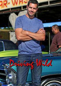 Driving Wild Driving Wild