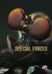 Animal Special Forces Animal Special Forces