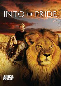 Into the Pride Into the Pride