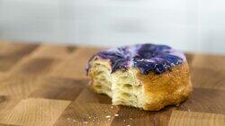 Go Nuts for Doughnuts! Go Nuts for Doughnuts!