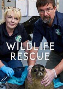 Wildlife Rescue Wildlife Rescue