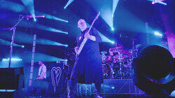 Corgan's World Corgan's World