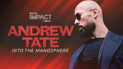 ANDREW TATE: Into the Manosphere ANDREW TATE: Into the Manosphere