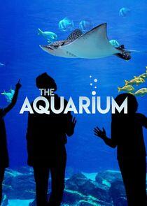The Aquarium - Season 2 The Aquarium - Season 2