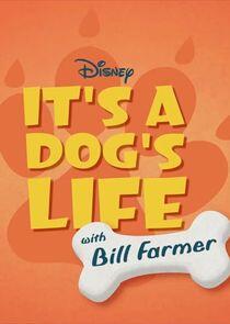 It's a Dog's Life with Bill Farmer It's a Dog's Life with Bill Farmer